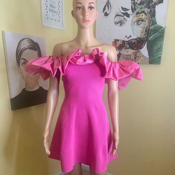 💫HP‼️💫 NWOT AJE Eldora Retro-inspired Mini Dress w/Ruffles in Pink, Size XS - Picture 7 of 10